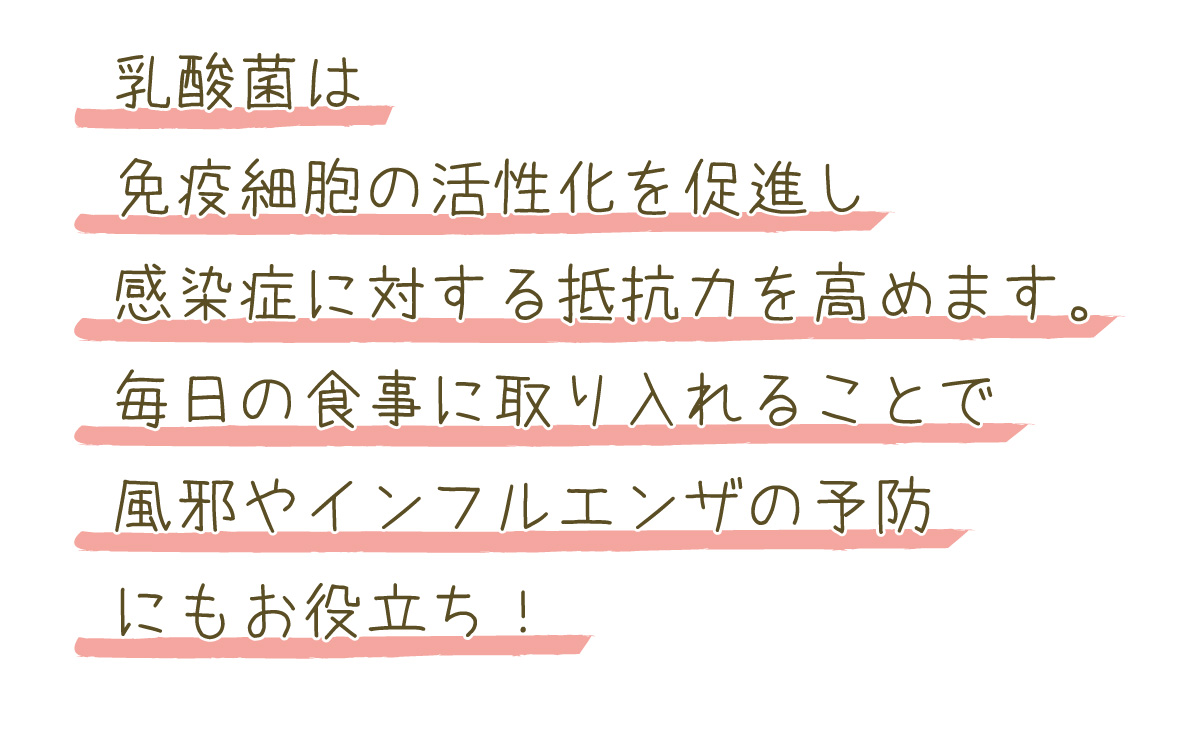 乳酸菌は免疫細胞の活性化を促進し、感染症に対する抵抗力を高めます。毎日の食事に取り入れることで、風邪やインフルエンザの予防にもお役立ち！