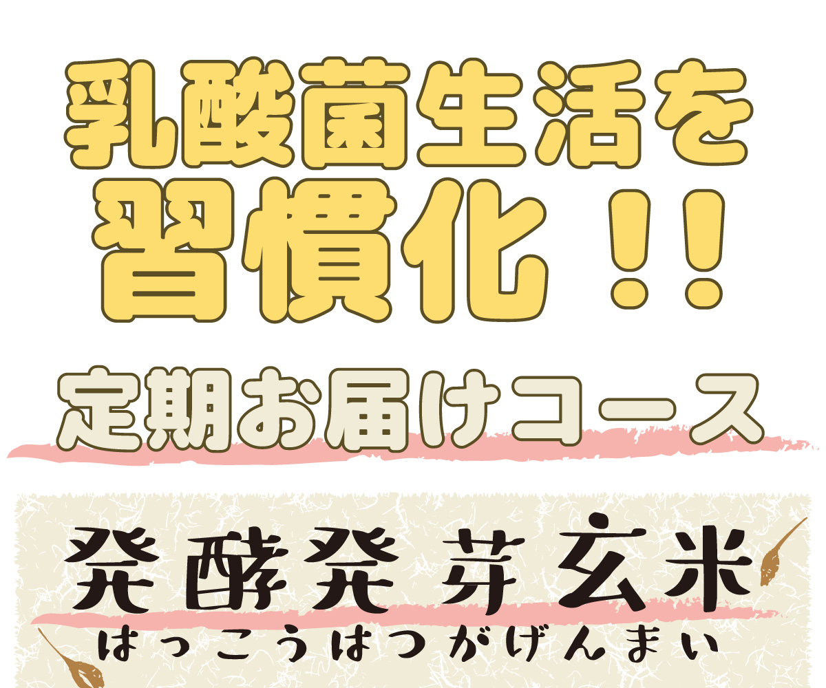 乳酸菌生活を習慣化！！発酵発芽玄米　定期お届けコース