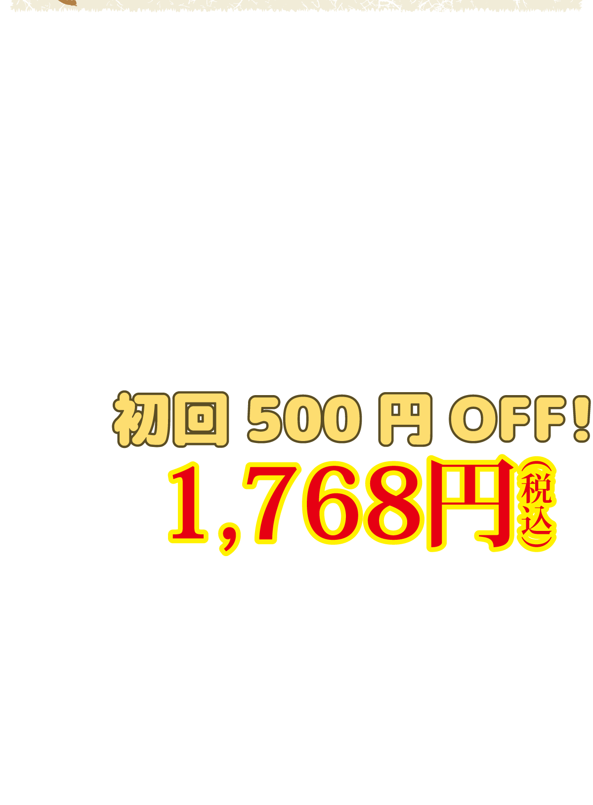 今ならさらに初回500円OFFの1,768円(税込)