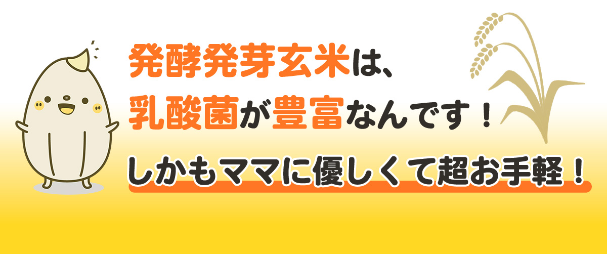 発酵発芽玄米は、乳酸菌が豊富なんです！しかもママに優しくて超お手軽！