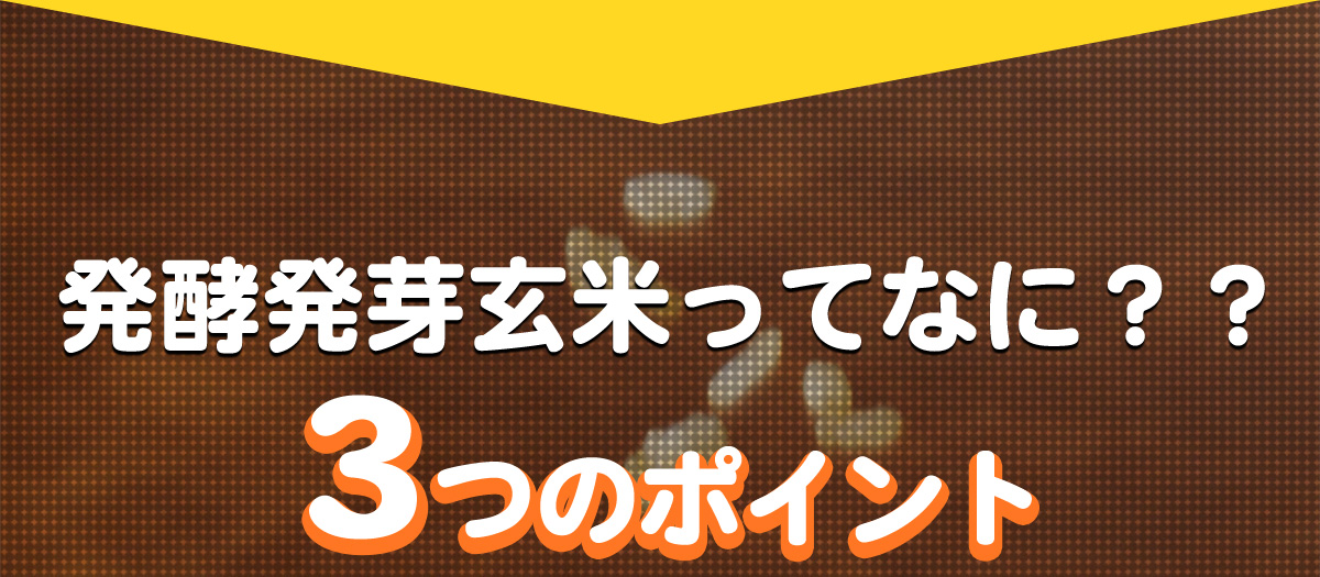 発酵発芽玄米って何？「３つのポイント」