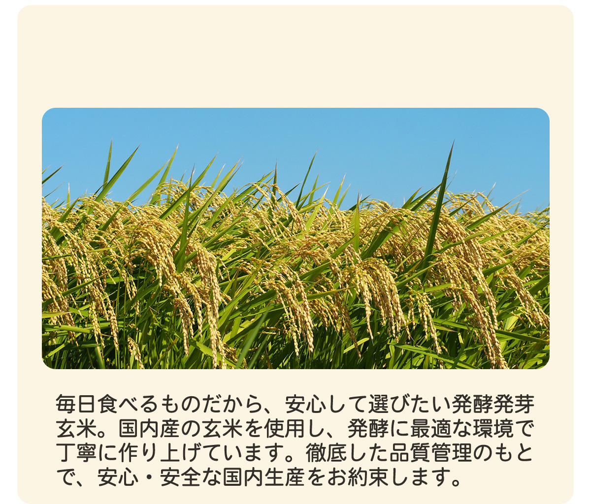 ⑥安心・安全、国内産品質！　「毎日食べるものだから、安心して選びたい発酵発芽玄米。国内産の玄米を使用し、発酵に最適な環境で丁寧に作り上げています。徹底した品質管理のもとで、安心・安全な国内生産をお約束します。」